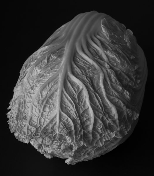 Cabbage