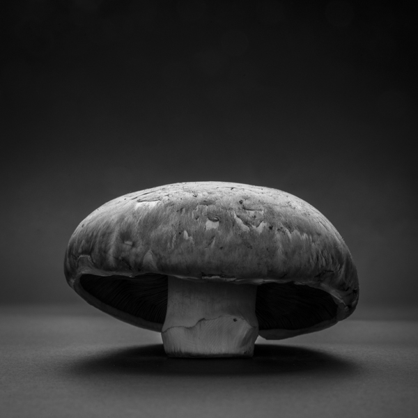 Mushroom